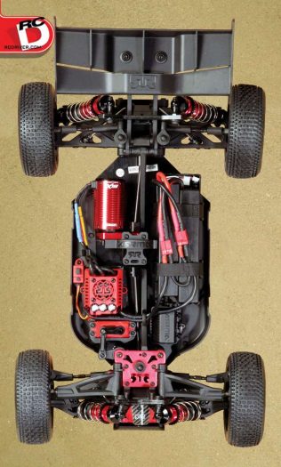 typhoon rc buggy